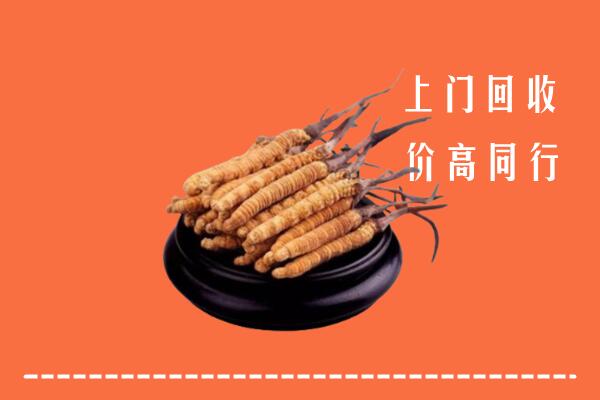 高价求购：赣州兴国县回收散虫草