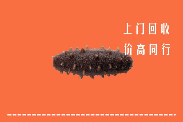 高价求购：赣州兴国县回收海参