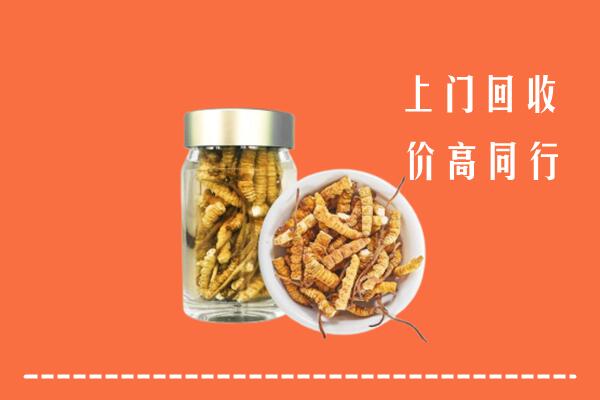 赣州兴国县回收冬虫夏草